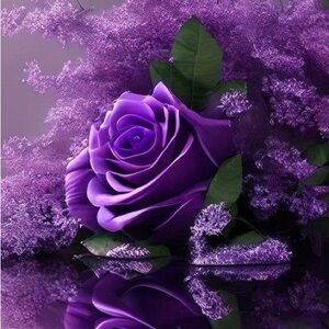 Meet your Posher, Lashanda